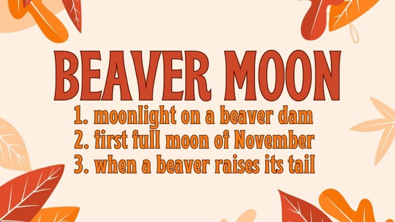 Weird Words: Fall Edition